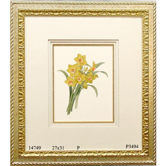 14749 REDOUTE NARCISSUS - 27X31