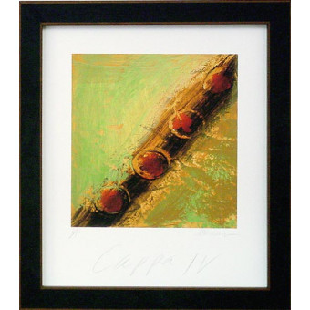 14869 CAPPA IV - 22X26