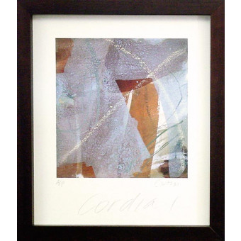 14923 CORDIA I - 22X26