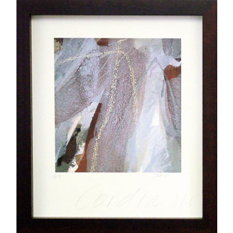 14925 CORDIA III - 22X26