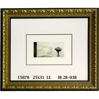 15078 SHADES OF ...I - 25X31