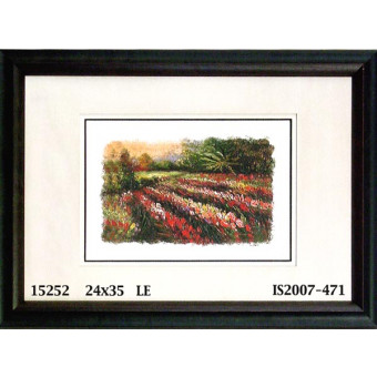 15252 ROWS - 24X35