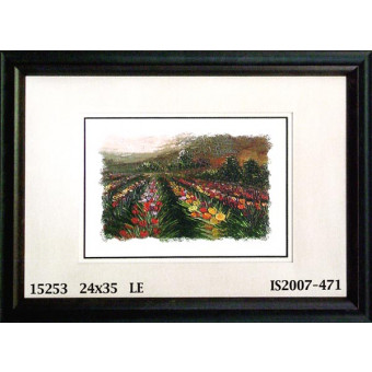 15253 AND ROWS - 24X35