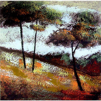 15312 PELSON'S LANDING I - 24X24