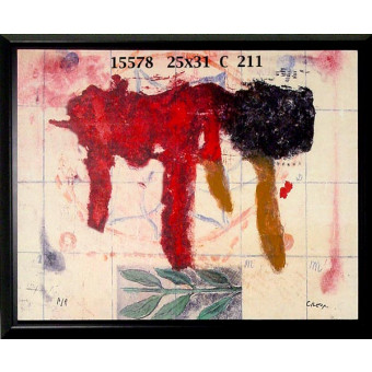 15578 DAKOTA II - 25X31