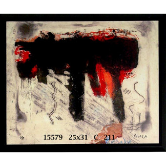 15579 DAKOTA III - 25X31