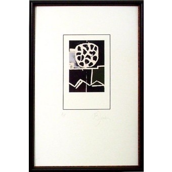 15620 CODA III - 18X28