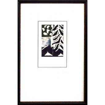 15622 CODA V - 18X28