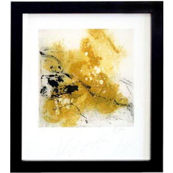 15627 ABBOTT IV - 22X26