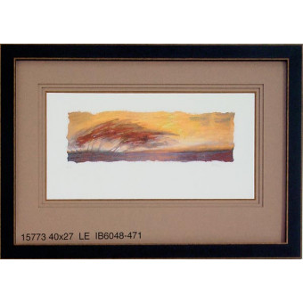15773 COLLUM'S BRUSH II - 40X27