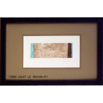 15880 CONSTELLATION II - 23X37